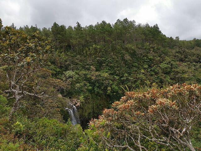 Alexandra Falls
