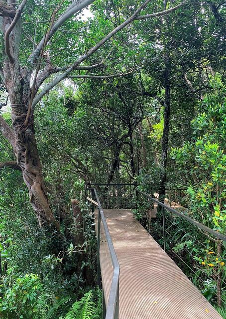 Ebony Forest (Chamarel)