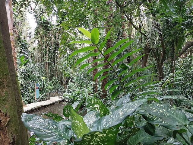 La Vanille Nature Park