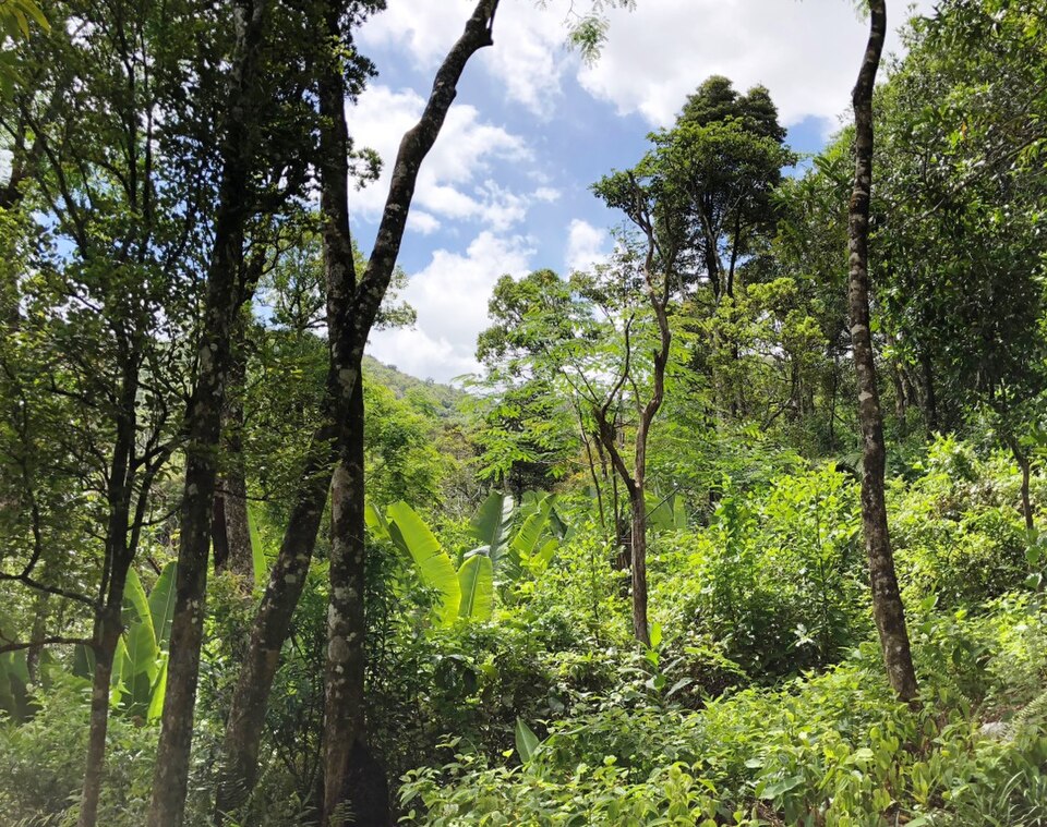 Jardin endémique d'Osterlog