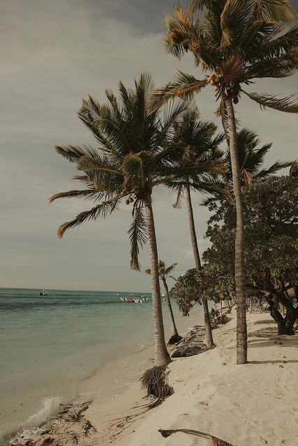 Pointe aux Piments